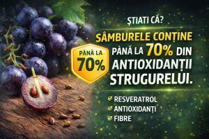 Știai că? Sâmburile cințin pâna la 70% din Antioxidanții Strugurelui